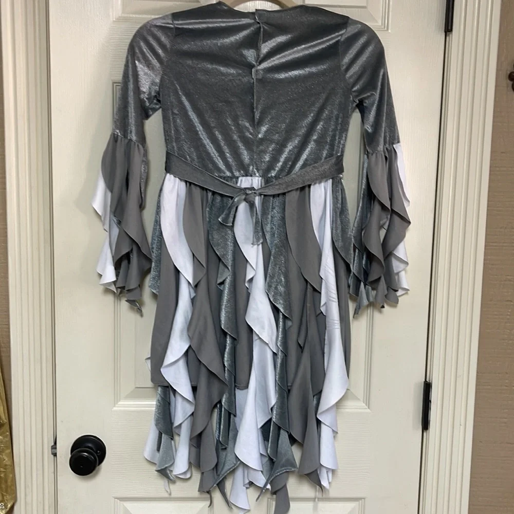 Costume. Girls size medium. See pictures! Used condition!